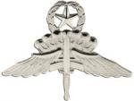 Halo Master Badge