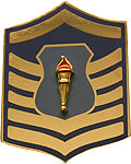 USAF ROTC Insignia Metal Pin On, MSgt