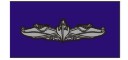 Gold Surface Warfare Nylon - S&R Award Pennant