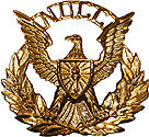 NDCC Cap Device