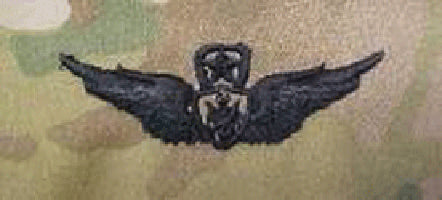 OCP Aircraft Crewman Master Badge Sew On