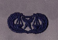 Paralegal Badge