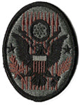 National Guard Civil Support Team Shoulder Patch