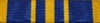 Public Health Service  S.G. Exemplary
