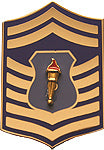 USAF ROTC Insignia Metal Pin On, SMSgt