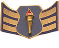 USAF ROTC Insignia Metal Pin On, SRA