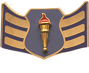 USAF ROTC Insignia Metal Pin On, SRA