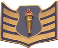 USAF ROTC Insignia Metal Pin On, SSgt
