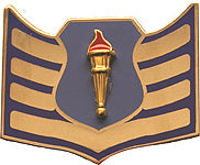 USAF ROTC Insignia Metal Pin On, SSgt