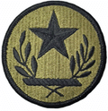 Texas National Guard OCP Scorpion Shoulder Patch