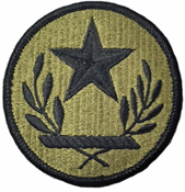 Texas National Guard OCP Scorpion Shoulder Patch
