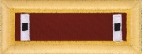 Transportation Officer Rayon Shoulder Boards