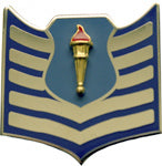 USAF ROTC Insignia Metal Pin On, TSgt