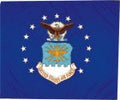 Air Force Organizational Rayon Guidon