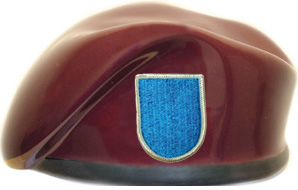 105th Military Intelligence Battalion Ceramic Beret With Flash