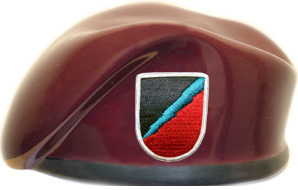 106th Military Intelligence Battalion Company C Ceramic Beret With Flash