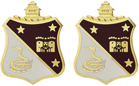 108th Medical Battalion Unit Crest
