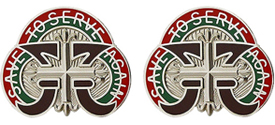 109th Medical Battalion Unit Crest