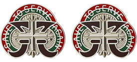 109th Medical Battalion Unit Crest