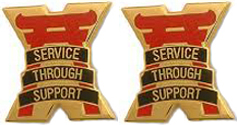 10th Support Group Unit Crest