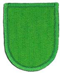 10th Special Forces Group Beret Flash