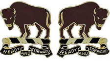 10th Cavalry Regiment Unit Crest