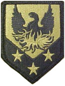 110th Maneuver Enhancement Brigade OCP Scorpion Shoulder Patch