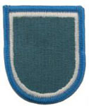 110th Military Intelligence Battalion Beret Flash