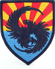 111th Military Intelligence Brigade Patch