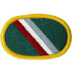 11th Special Forces Group Oval