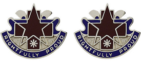 31st Combat Support Hospital Unit Crest
