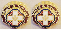 134th Combat Support Hospital Unit Crest