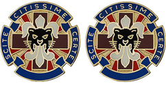 13th Combat Support Hospital Unit Crest