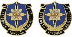 141st  Military Intelligence Battalion Unit Crest