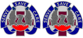 146th Combat Support Hospital Unit Crest