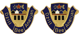 158th Quartermaster Battalion Unit Crest