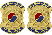 163rd  Military Intelligence Battalion Unit Crest