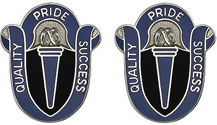 165th Military Intelligence Battalion Unit Crest