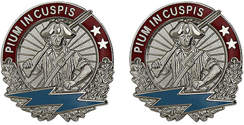 174th Infantry Brigade Unit Crest