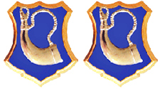 181st Infantry Regiment Unit Crest