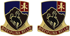 213th Regiment Unit Crest
