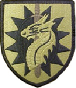 224th Sustainment Brigade OCP Scorpion Shoulder Patch With Velcro