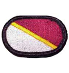 250th Forward Surgical Team Oval