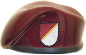 250th Forward Surgical Team Airborne Battalion Ceramic Beret With Flash