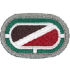 301st Psychological Operations Company Badge Oval