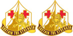 303rd Field Hospital Unit Crest