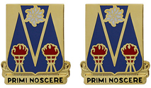303rd Military Intelligence Battalion Unit Crest