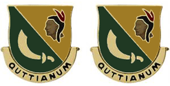 306th Military Police Battalion Unit Crest