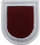 307th Support Battalion Beret Flash