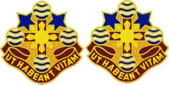 309th Combat Support Hospital Unit Crest